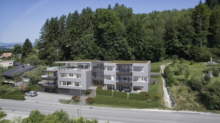 Anjana Perera Visualisierung - Ringwilstrasse 25, Hinwil - Sommerhaus AG, Steinhausen